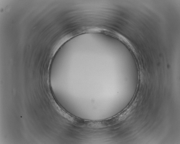 X0000077401194200611101812