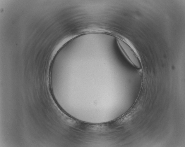 X0000077401195200611101812