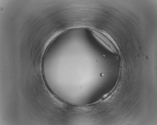 X0000077401197200611101812