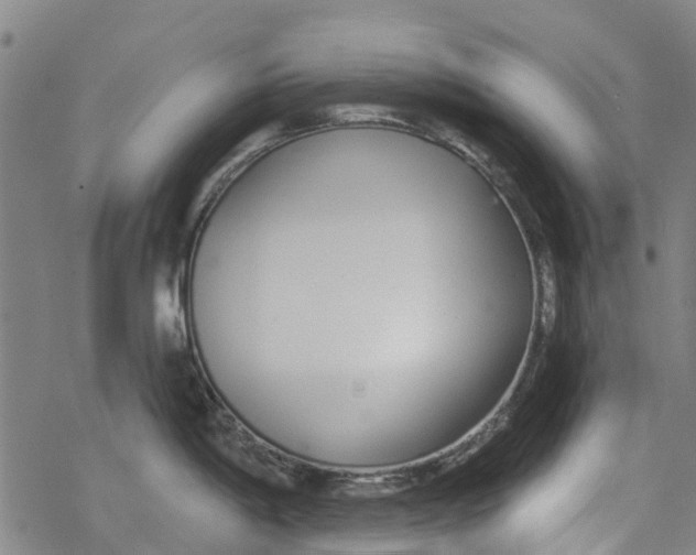 X0000077401198200611101812