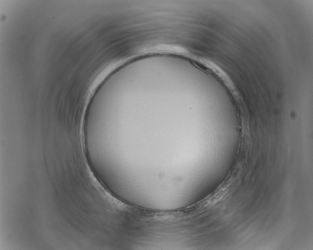 X0000077401199200611101812