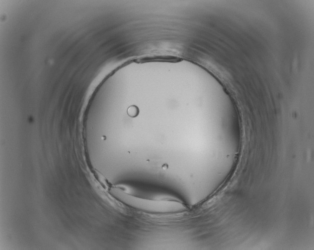 X0000077401200200611101812