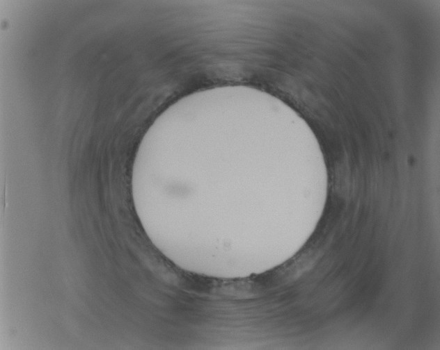 X0000077401201200611101811