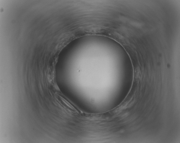 X0000077401202200611101811