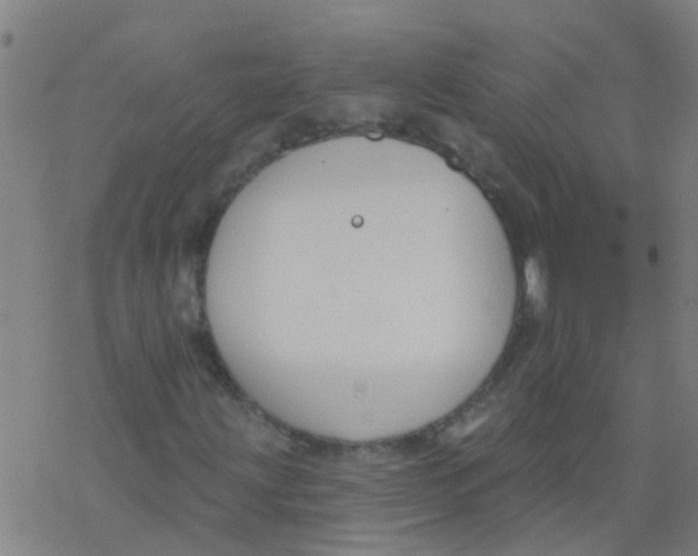 X0000077401203200611101811