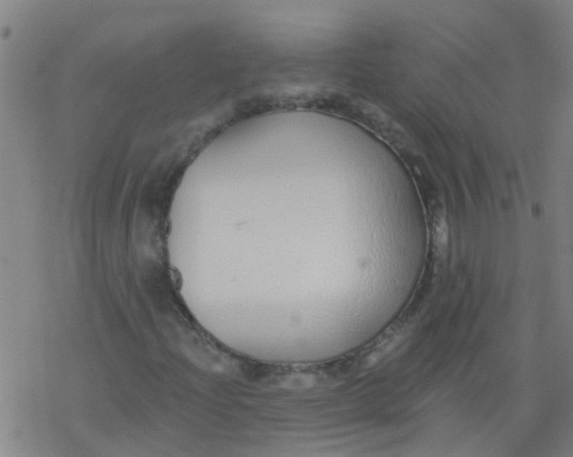 X0000077401204200611101811