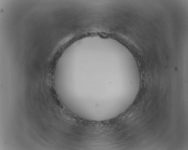 X0000077401207200611101811