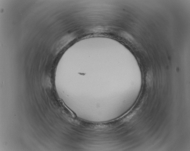 X0000077401209200611101811