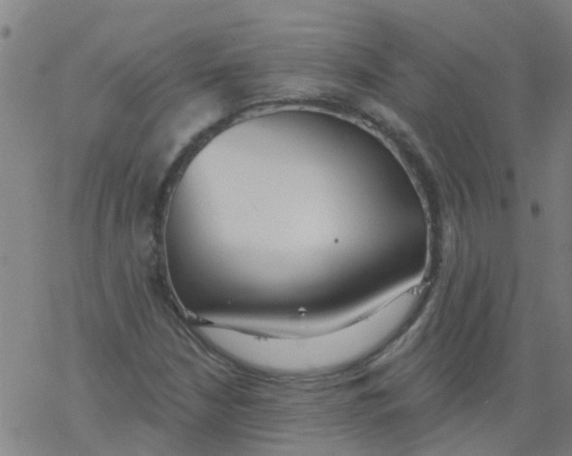 X0000077401210200611101811