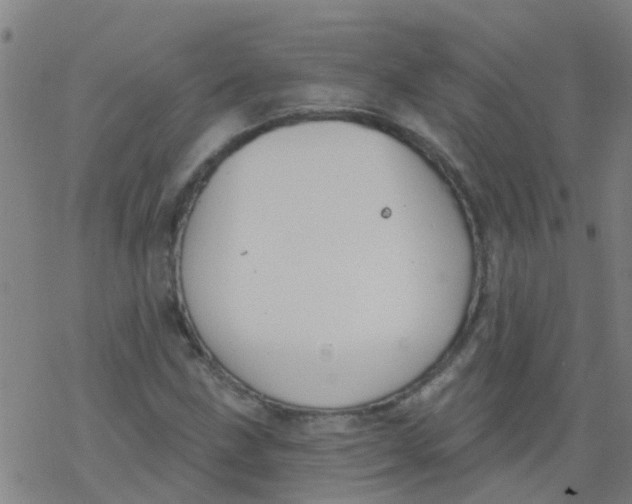 X0000077401211200611101811