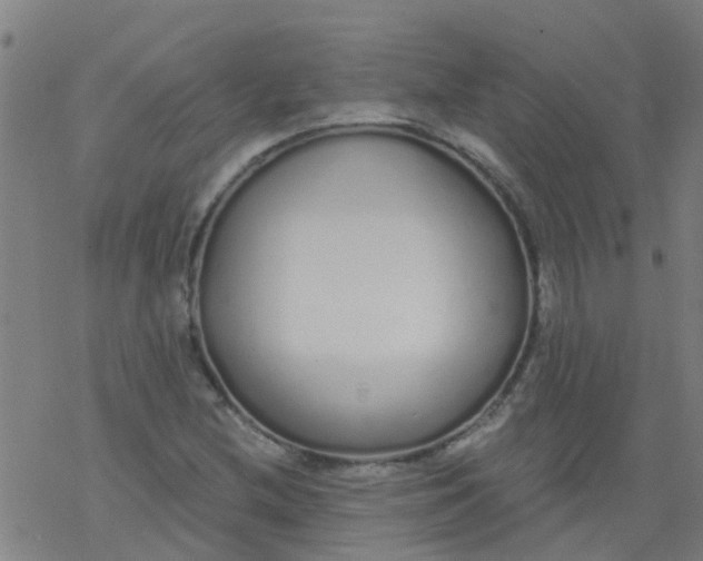 X0000077401212200611101811