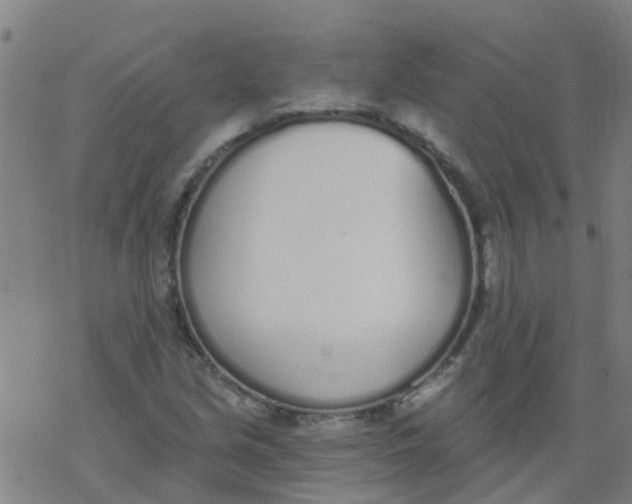 X0000077401213200611101811