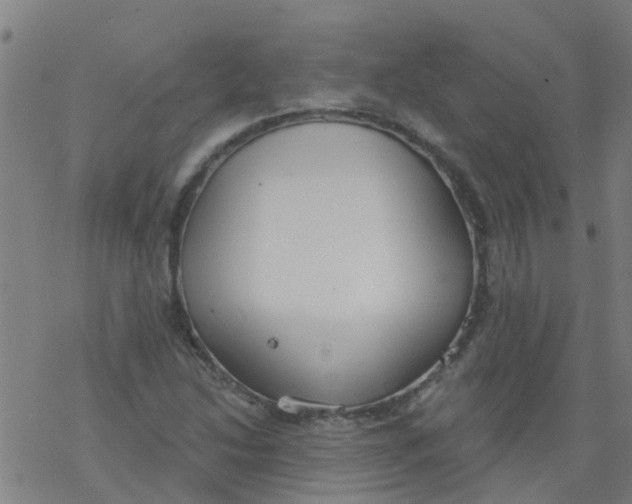 X0000077401214200611101811