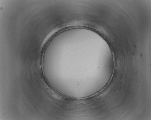 X0000077401216200611101811