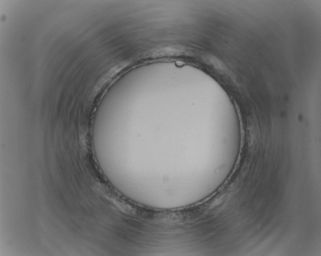 X0000077401217200611101811