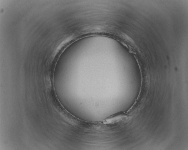 X0000077401218200611101812