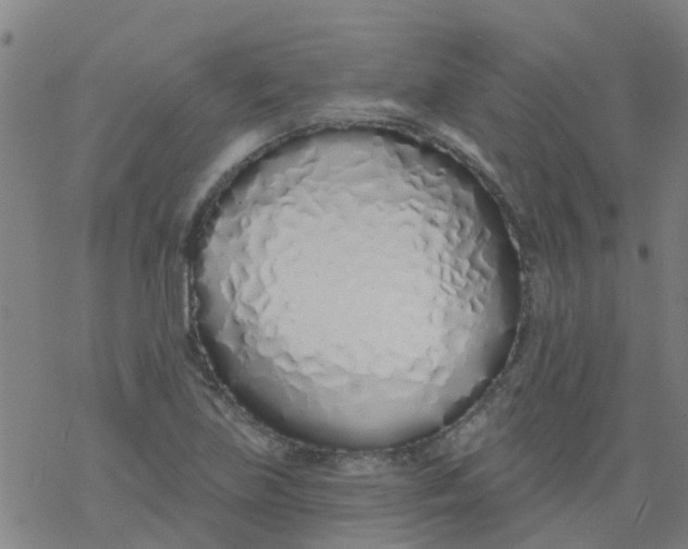 X0000077401219200611101812