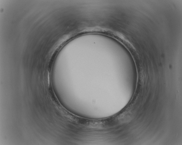 X0000077401221200611101812