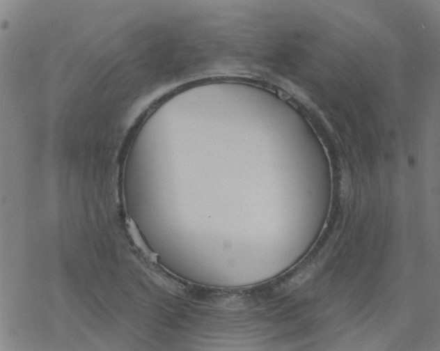 X0000077401222200611101812