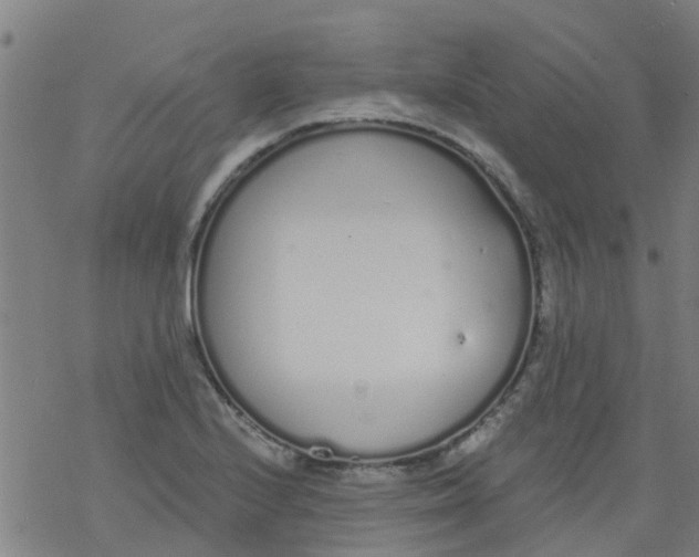 X0000077401224200611101812