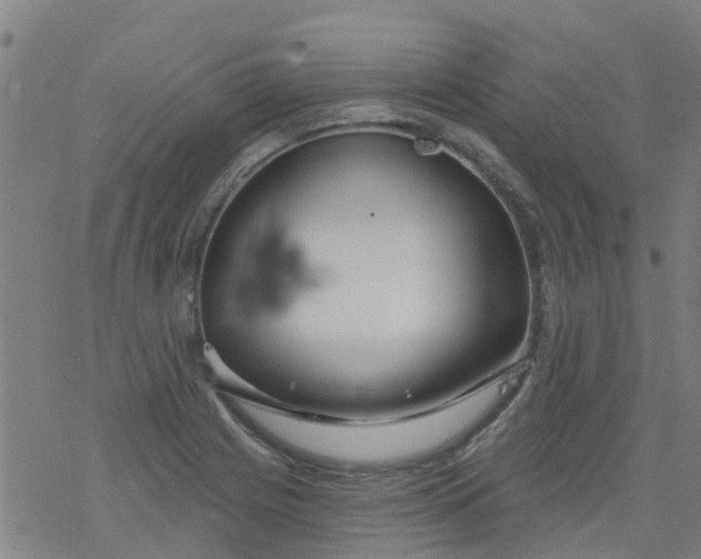 X0000077401225200611101812