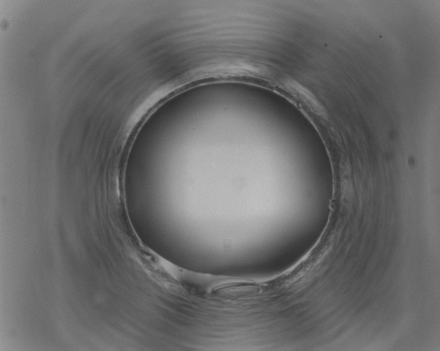 X0000077401226200611101812