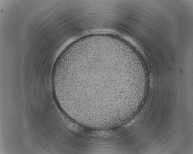 X0000077401229200611101812