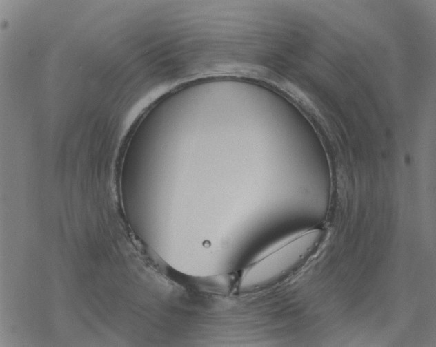 X0000077401230200611101812