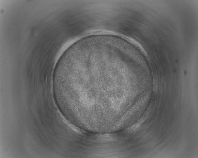 X0000077401231200611101812