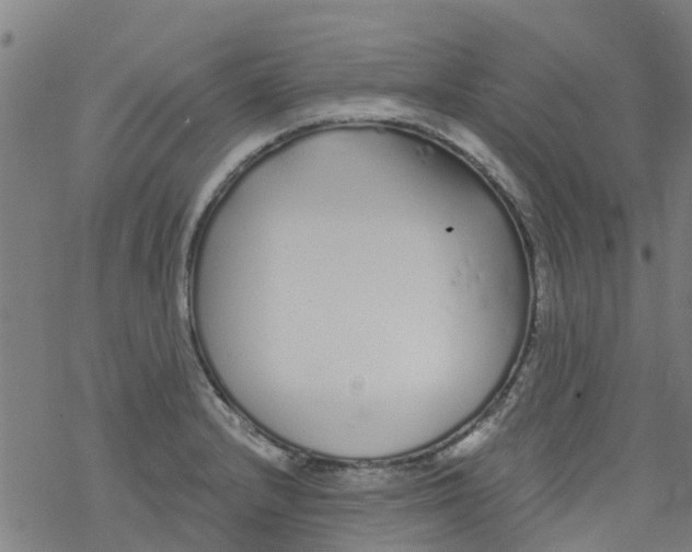 X0000077401232200611101812