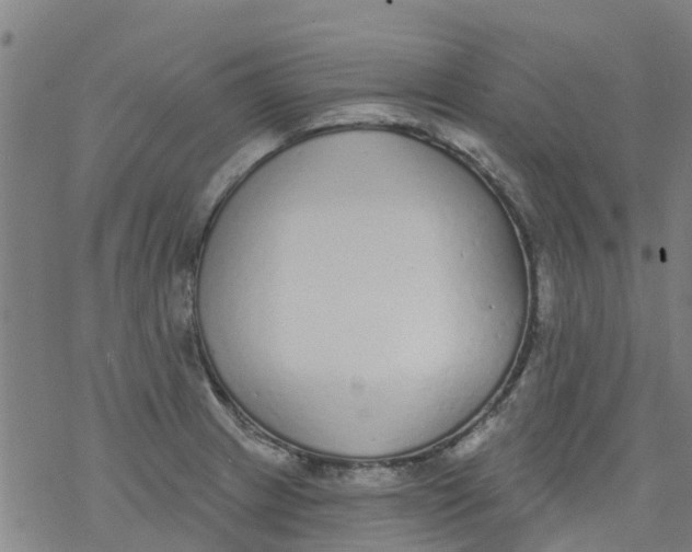 X0000077401233200611101812