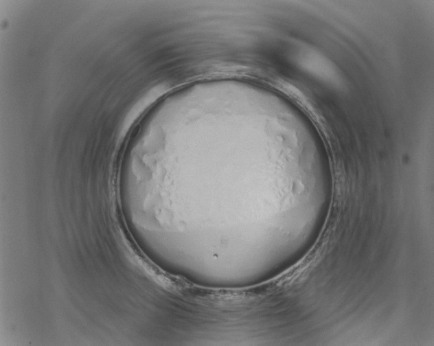 X0000077401235200611101812