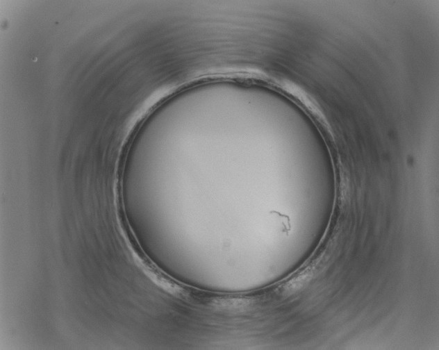 X0000077401237200611101812