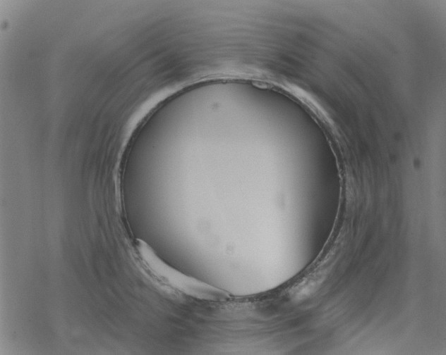 X0000077401238200611101812