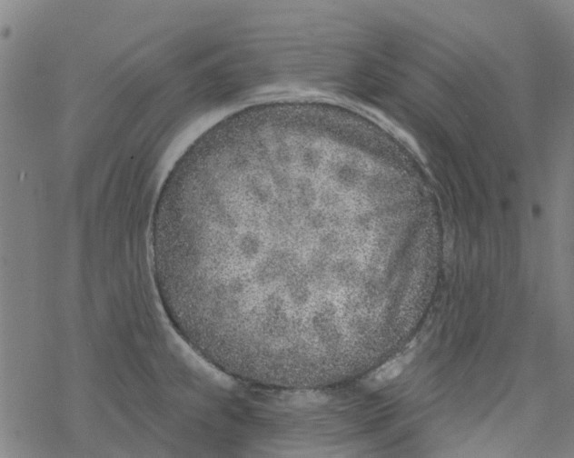 X0000077401239200611101812