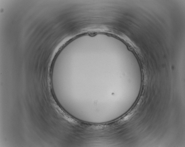 X0000077401240200611101812