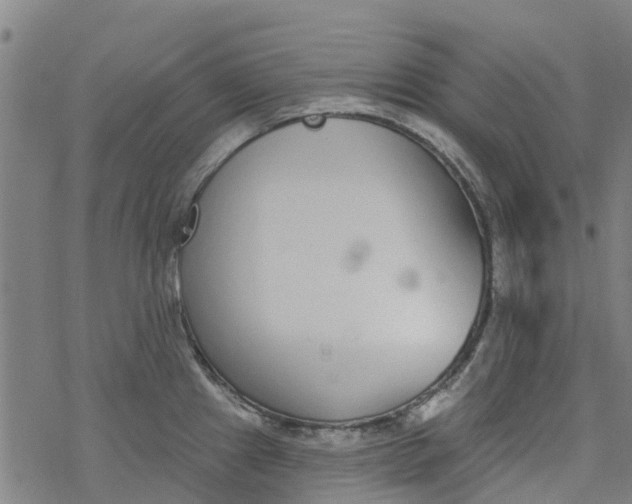 X0000077401241200611101812