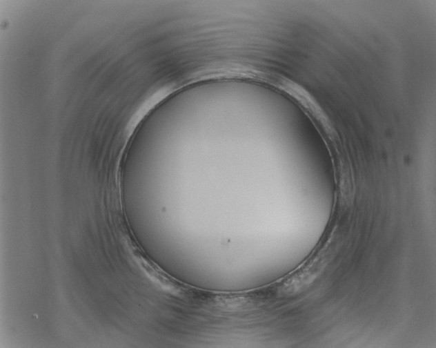 X0000077401242200611101812