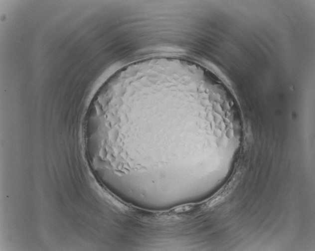 X0000077401243200611101812