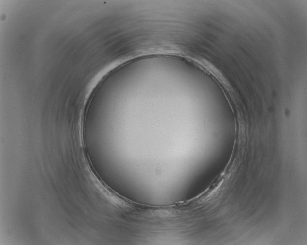 X0000077401246200611101812