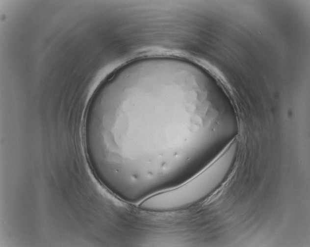 X0000077401247200611101812