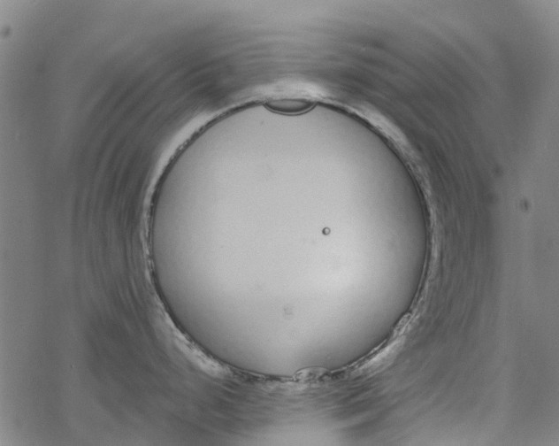 X0000077401248200611101812