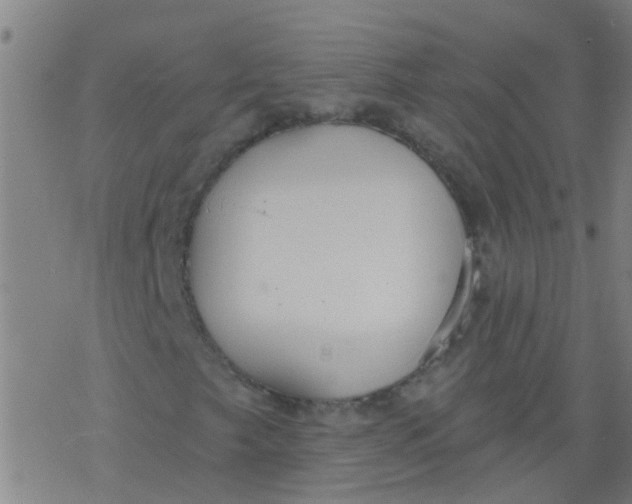 X0000077401249200611101811