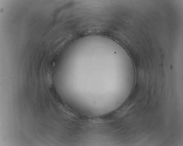 X0000077401250200611101811