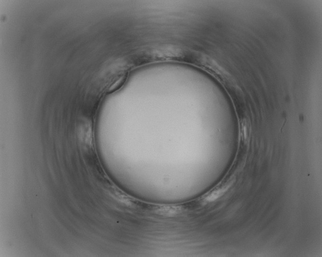 X0000077401251200611101811