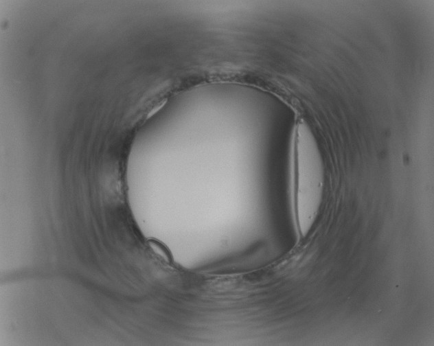 X0000077401252200611101811