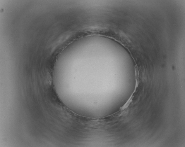 X0000077401253200611101811