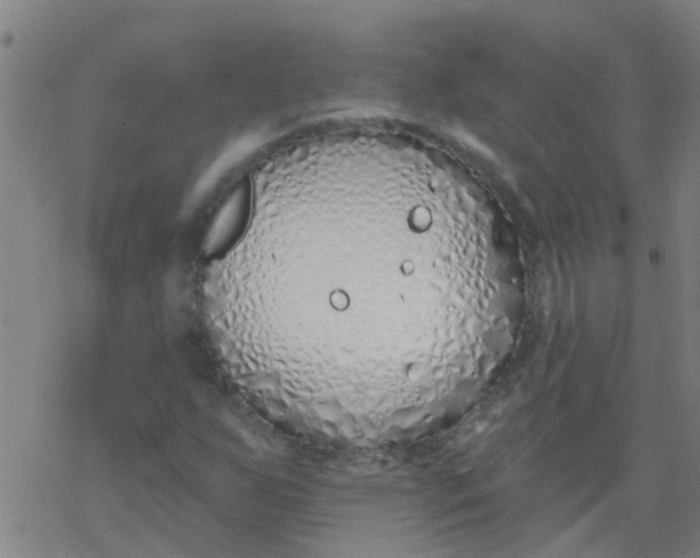 X0000077401255200611101811