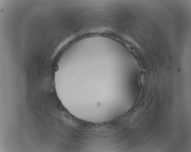 X0000077401256200611101811