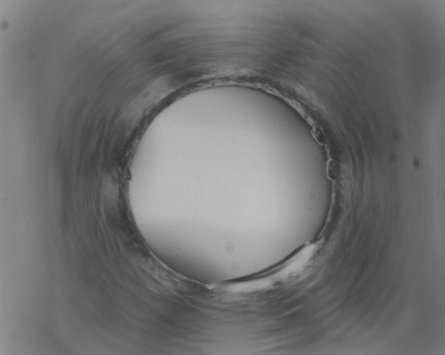 X0000077401257200611101811